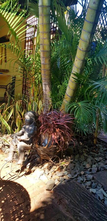 Africas Eden Guesthouse Mookgophong Exterior photo