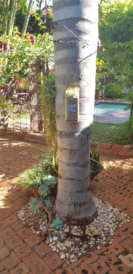 Africas Eden Guesthouse Mookgophong Exterior photo